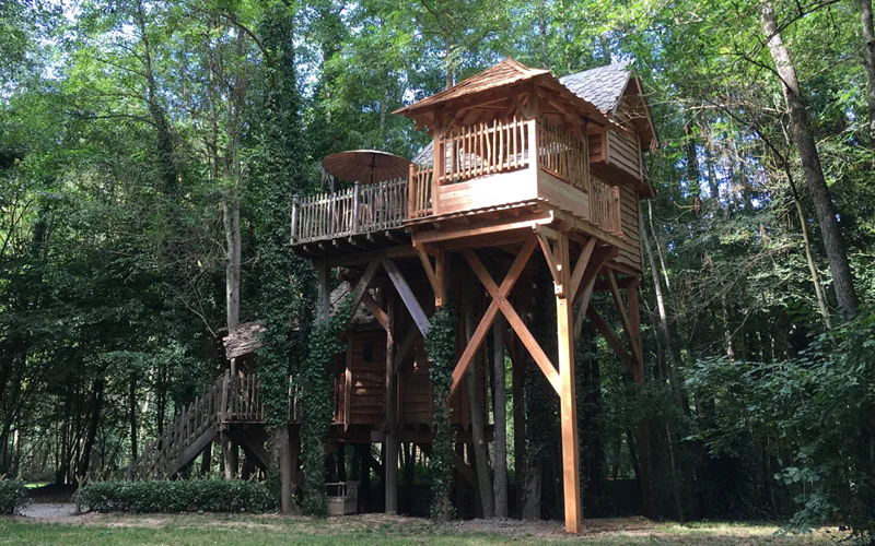 cabane dans les arbres